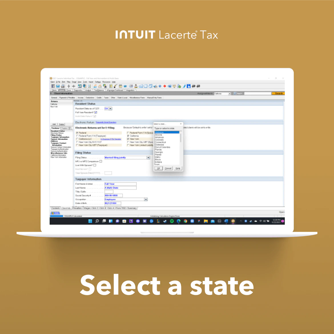 screenshot of Lacerte Tax